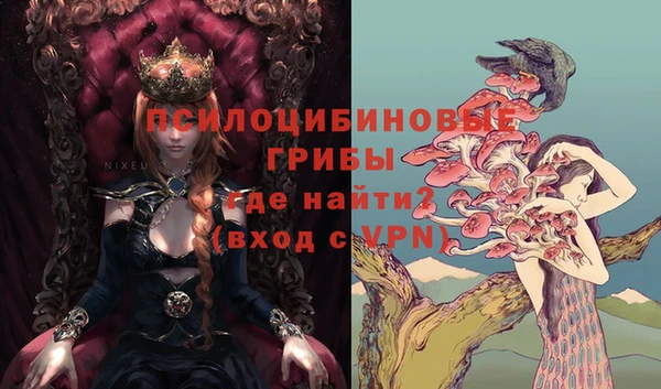 COCAINE Абаза