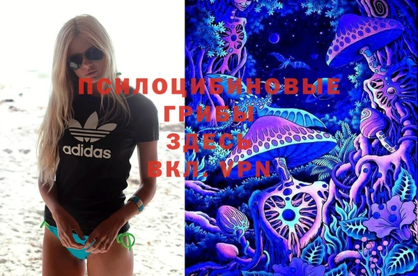 дмт Абинск