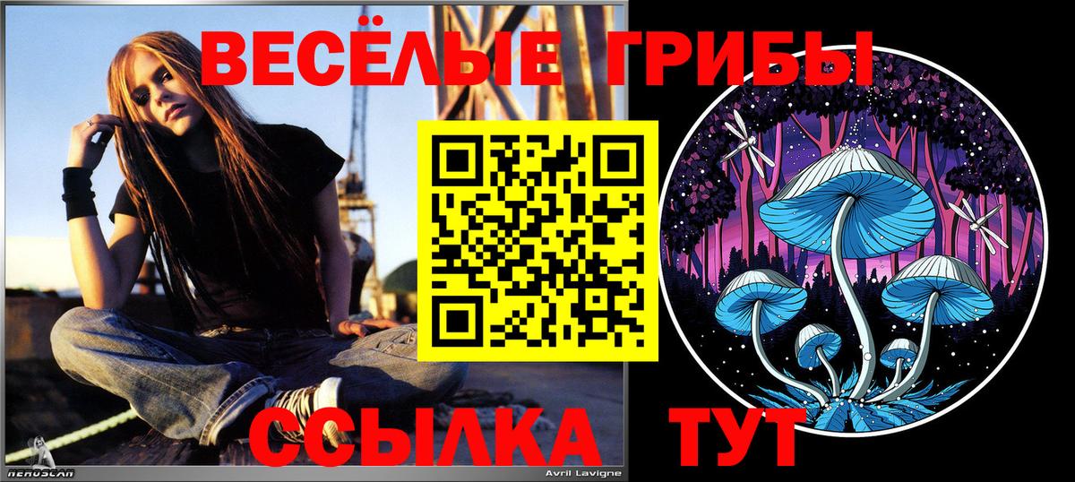 Псилоцибиновые грибы MAGIC MUSHROOMS  Вход с VPN  Звенигород 