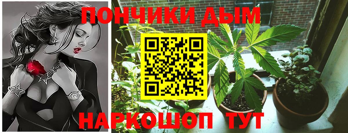 Конопля марихуана Звенигород
